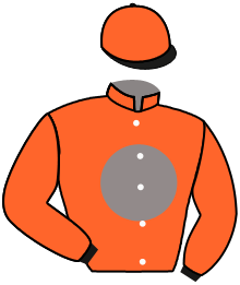 casaque portée par Thomas Ron. jockey du cheval de course GOUTTES DE DIEU, information pmu ZETURF casaque portée par Thomas Ron. jockey du cheval de course GOUTTES DE DIEU, information pmu ZETURF