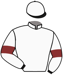 casaque portée par Marquand Tom jockey du cheval de course MODEL YUKO, information pmu ZETURF casaque portée par Marquand Tom jockey du cheval de course MODEL YUKO, information pmu ZETURF