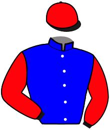 casaque portée par Koubiche Jér. jockey du cheval de course NIKKEI PONT ROYAL, information pmu ZETURF