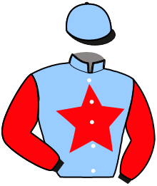 casaque portée par Senet J.F. jockey du cheval de course NESMILLE ELEVEN, information pmu ZETURF