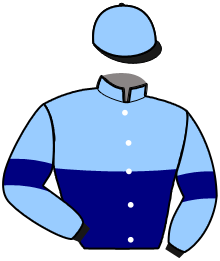 casaque portée par Verva M. jockey du cheval de course KENZO BEACH, information pmu ZETURF