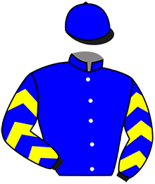 casaque portée par Bizoux Lor. jockey du cheval de course KILLER MELOC, information pmu ZETURF
