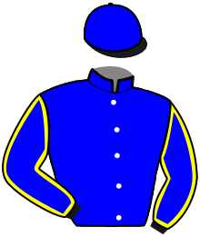 casaque portée par Verva L. jockey du cheval de course HERCULE DE BEA, information pmu ZETURF