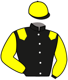 casaque portée par Sabourdy D. jockey du cheval de course IDEAL WIC, information pmu ZETURF casaque portée par Sabourdy D. jockey du cheval de course IDEAL WIC, information pmu ZETURF