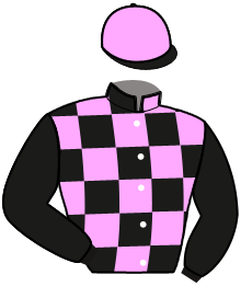 casaque portée par Bouisson Y. jockey du cheval de course IERONTO, information pmu ZETURF casaque portée par Bouisson Y. jockey du cheval de course IERONTO, information pmu ZETURF