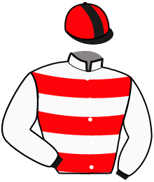 casaque portée par Henry Mme Lan. jockey du cheval de course HAMILTON DU LUPIN, information pmu ZETURF casaque portée par Henry Mme Lan. jockey du cheval de course HAMILTON DU LUPIN, information pmu ZETURF