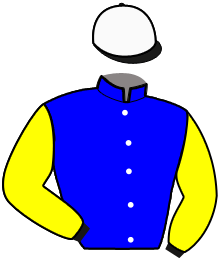 casaque portée par Criado M. jockey du cheval de course INVICTUS NAR, information pmu ZETURF casaque portée par Criado M. jockey du cheval de course INVICTUS NAR, information pmu ZETURF
