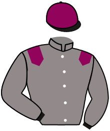 casaque portée par Marie Benj. jockey du cheval de course REGIS CAMBACERES, information pmu ZETURF casaque portée par Marie Benj. jockey du cheval de course REGIS CAMBACERES, information pmu ZETURF