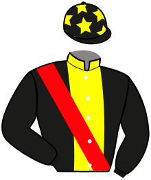 casaque portée par Bachelot T. jockey du cheval de course MIRADERO, information pmu ZETURF casaque portée par Bachelot T. jockey du cheval de course MIRADERO, information pmu ZETURF