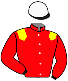 casaque portée par Marquette Max. jockey du cheval de course WASSERFARBE, information pmu ZETURF casaque portée par Marquette Max. jockey du cheval de course WASSERFARBE, information pmu ZETURF