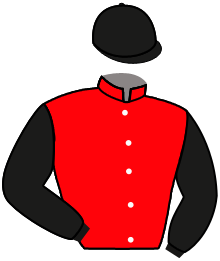 casaque portée par De Giles F. jockey du cheval de course ROGATIEN, information pmu ZETURF casaque portée par De Giles F. jockey du cheval de course ROGATIEN, information pmu ZETURF