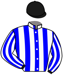 casaque portée par Lefebvre Mr C. jockey du cheval de course JEU DU DESTIN, information pmu ZETURF casaque portée par Lefebvre Mr C. jockey du cheval de course JEU DU DESTIN, information pmu ZETURF