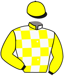 casaque portée par Prichard Mlle C. jockey du cheval de course SWING DU MATHAN, information pmu ZETURF casaque portée par Prichard Mlle C. jockey du cheval de course SWING DU MATHAN, information pmu ZETURF