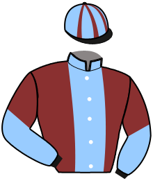 casaque portée par Guinoiseau L. jockey du cheval de course MILLIONS CYJUS, information pmu ZETURF