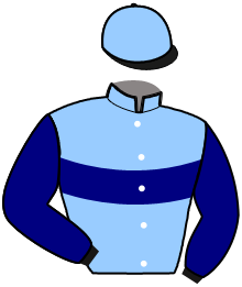 casaque portée par Raffegeau J. Ph. jockey du cheval de course MERCURY DELO, information pmu ZETURF