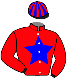casaque portée par Marty R. jockey du cheval de course KOALA MIQUELLERIE, information pmu ZETURF