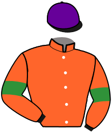 casaque portée par De Meyer Mme M. jockey du cheval de course LADY DE VILLODON, information pmu ZETURF