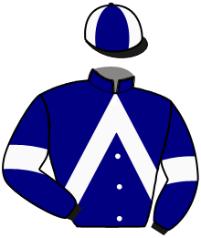 casaque portée par Desmigneux F. jockey du cheval de course LISA MI FOR CLARA, information pmu ZETURF