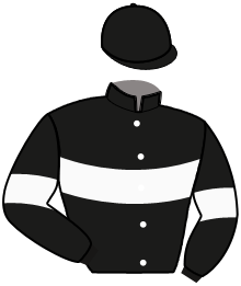 casaque portée par Marty R. jockey du cheval de course LANDE D'ACADIE, information pmu ZETURF casaque portée par Marty R. jockey du cheval de course LANDE D'ACADIE, information pmu ZETURF