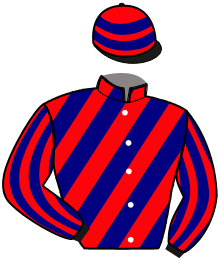 casaque portée par Guinoiseau L. jockey du cheval de course KETMIE DE BABEL, information pmu ZETURF