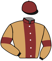 casaque portée par Ouvrie T. jockey du cheval de course KLASSICAL WAY ACE, information pmu ZETURF