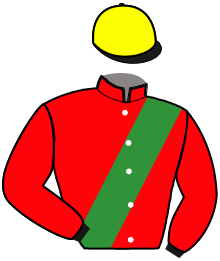 casaque portée par Jouault H. jockey du cheval de course HORIZON JASMA, information pmu ZETURF casaque portée par Jouault H. jockey du cheval de course HORIZON JASMA, information pmu ZETURF