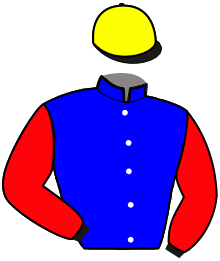 casaque portée par Candon J. jockey du cheval de course HIMEROS DU DOLLAR, information pmu ZETURF casaque portée par Candon J. jockey du cheval de course HIMEROS DU DOLLAR, information pmu ZETURF