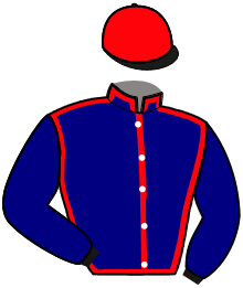 casaque portée par Chauve-laffay Ben. jockey du cheval de course JUGURTHA POLKA, information pmu ZETURF casaque portée par Chauve-laffay Ben. jockey du cheval de course JUGURTHA POLKA, information pmu ZETURF