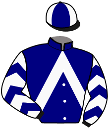 casaque portée par Gauvin F. jockey du cheval de course KAISER DU PERSIL, information pmu ZETURF casaque portée par Gauvin F. jockey du cheval de course KAISER DU PERSIL, information pmu ZETURF