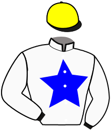 casaque portée par Dujmic M. jockey du cheval de course LE GRAND MASSIF, information pmu ZETURF casaque portée par Dujmic M. jockey du cheval de course LE GRAND MASSIF, information pmu ZETURF
