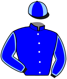 casaque portée par Lamaziere L. jockey du cheval de course JACKASS LATIN, information pmu ZETURF