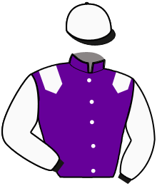 casaque portée par Vaudoit M. jockey du cheval de course HIPPOCRATE DU TRIO, information pmu ZETURF
