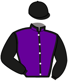 casaque portée par Roullier Tho. jockey du cheval de course LOVE AND SUN, information pmu ZETURF