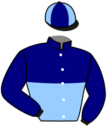 casaque portée par Bazire N. jockey du cheval de course MAITIKA DE PEBRISY, information pmu ZETURF casaque portée par Bazire N. jockey du cheval de course MAITIKA DE PEBRISY, information pmu ZETURF