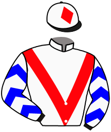 casaque portée par Gavilan Ale. jockey du cheval de course STARECTO, information pmu ZETURF casaque portée par Gavilan Ale. jockey du cheval de course STARECTO, information pmu ZETURF