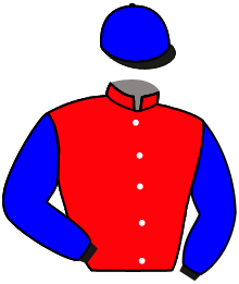 casaque portée par Foulon M. jockey du cheval de course LANA ZAIN, information pmu ZETURF