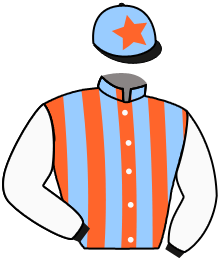 casaque portée par Mouesan H. jockey du cheval de course INCENTIVE GLORY, information pmu ZETURF