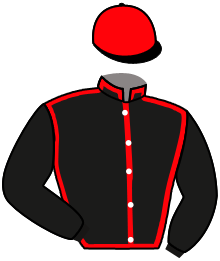 casaque portée par Eyquem Jb. jockey du cheval de course GARE AU GORILLE, information pmu ZETURF