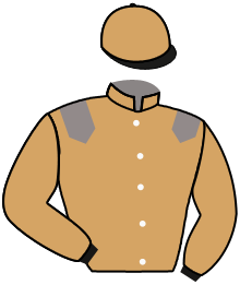 casaque portée par Werle A. jockey du cheval de course INVICTUS AL ASHAI, information pmu ZETURF