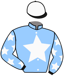 casaque portée par Seguy V. jockey du cheval de course SAIEL M D, information pmu ZETURF