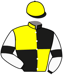 casaque portée par Vibert G. G. jockey du cheval de course LAGUINTE, information pmu ZETURF