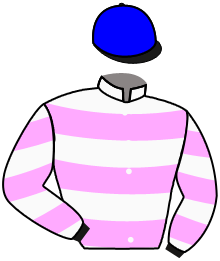 casaque portée par Dubourg K. jockey du cheval de course LOULOU DU LYS, information pmu ZETURF casaque portée par Dubourg K. jockey du cheval de course LOULOU DU LYS, information pmu ZETURF