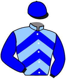 casaque portée par Nail-rocher Vic. jockey du cheval de course L'EPALE DE TUNIS, information pmu ZETURF casaque portée par Nail-rocher Vic. jockey du cheval de course L'EPALE DE TUNIS, information pmu ZETURF