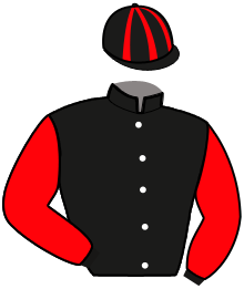 casaque portée par Denis H. jockey du cheval de course FUEGO D'IRATY, information pmu ZETURF
