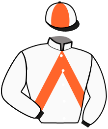 casaque portée par Mottier M. jockey du cheval de course IRIS DES ROSEAUX, information pmu ZETURF casaque portée par Mottier M. jockey du cheval de course IRIS DES ROSEAUX, information pmu ZETURF