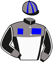 casaque portée par Rochard B. jockey du cheval de course READLY LAVEC, information pmu ZETURF casaque portée par Rochard B. jockey du cheval de course READLY LAVEC, information pmu ZETURF