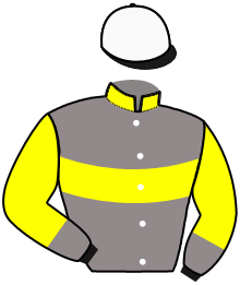 casaque portée par Raffin E. jockey du cheval de course KONTESSA DREAM, information pmu ZETURF