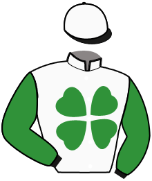 casaque portée par Huygens Mlle H. jockey du cheval de course MYSTIC VERTAC, information pmu ZETURF
