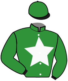 casaque portée par D'haenens N. jockey du cheval de course MERGINIO, information pmu ZETURF