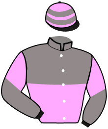 casaque portée par Fernandes Rios Mme Hel. jockey du cheval de course FOREVER STONE, information pmu ZETURF